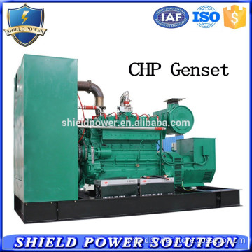 Wholesaler 60KW BioGas CHP Generator Set, Natural gas Generator CHP